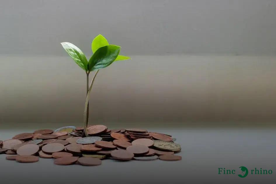 Comparison with Regular Savings Accounts